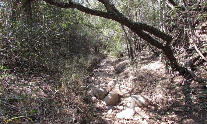 Thorny Bush Game Reserve Cabina | Amanzimlotzi Riverside Bush Camp Pure Wilderness in Limpopo, Kruger Park