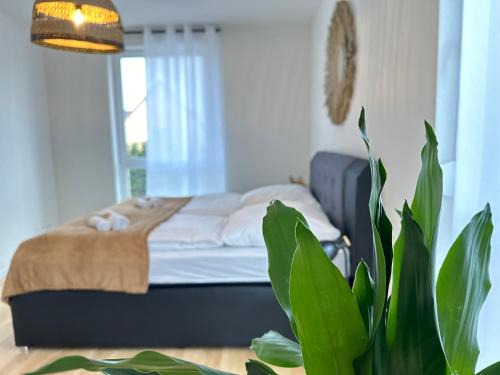 Rheinhausen Apartamento | AMAO Grey - 86 m2 Apartment - Balcony - King-Size Beds - Free Parking - Near Europa-Park - Up to 12 Guests with 2 Units