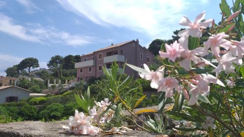 Veli Losinj Apartamento | Amaryllis residence, apartment Diana & Deluxe rooms with shared kitchen