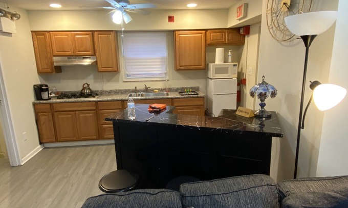 Green Tree Apartamento | Amazing 1 bedroom unit in Pittsburgh City of Carnegie area PA.