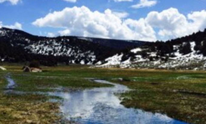 Sevier Cabina | Amazing Grass Creek
