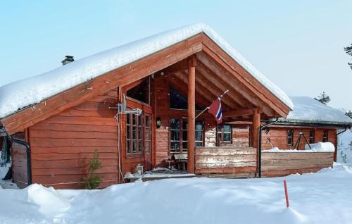 Tokke Casa | Amazing Home In Dalen With Wifi