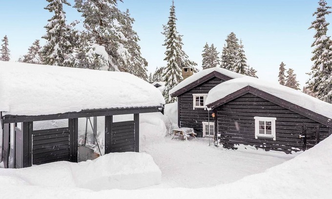 Mælem Casa | Amazing home in Trysil with house a mountain view