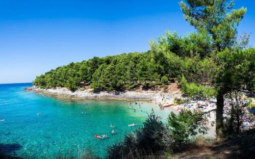 Pula Apartamento | Amazing luxury apartment 200 m from the beach