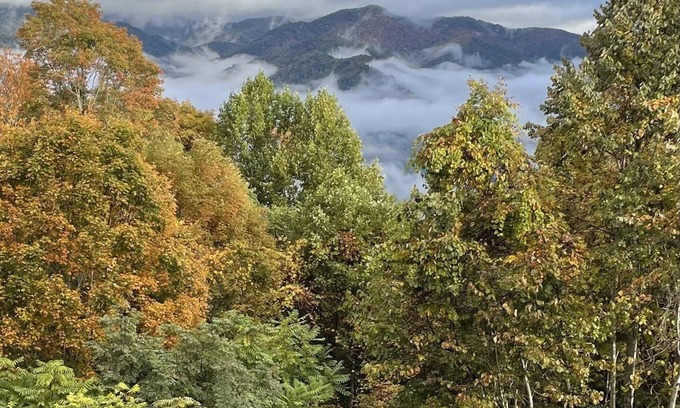 Bakersville Casa | Amazing Mountain Views HOT TUB Fire Pit Remote Location Pet Friendly