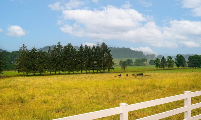 Navarre Otro | Amazing views, hot tub/outdoor fireplace, countryside, farm with calves & goats.