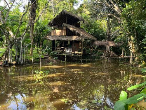 Puerto Narino Otro | Amazon jungle cabin - satorinatural