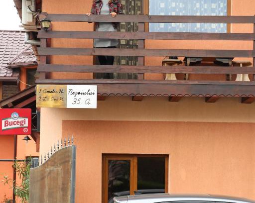 Fagaras Casa | Amelia House