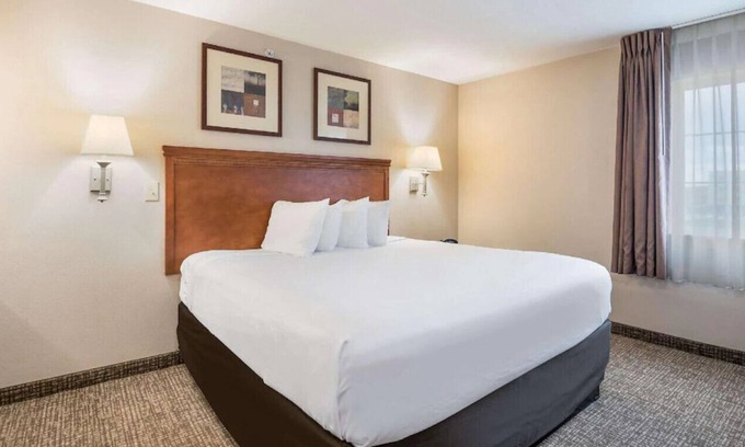 Waterloo Casa | Amenities You Need to Have a Great Vacation