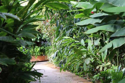Willemstad Complejo | Amigunan Tropical Mini Resort