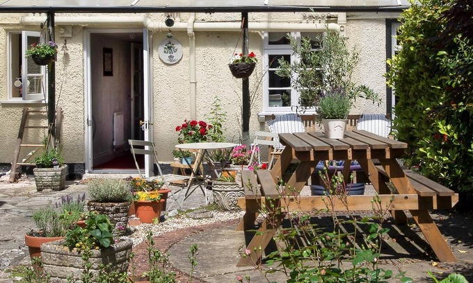 Chard Casa | Ammonite Lodge Guest House
