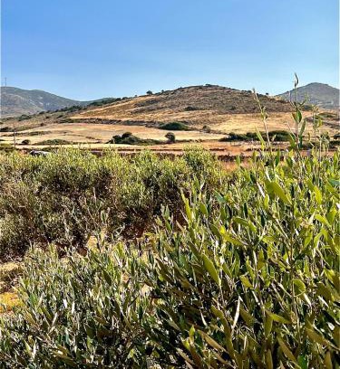 Antiparos Apartamento | Ampelonas Antiparos