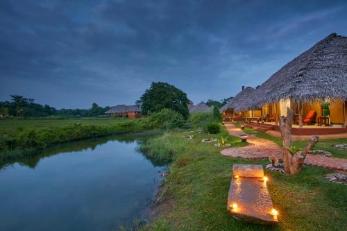 Dambulla Cabina | Amuna Ayurveda and Wellness Retreat