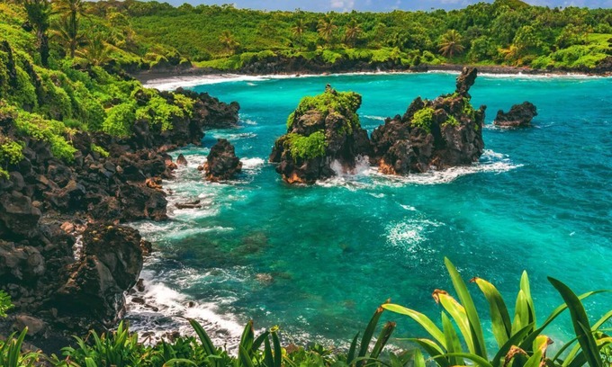 Kahului Apartamento | An Adventure Awaits! 4 Gorgeous Ocean View Units! Pet-Friendly, Pool