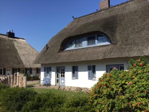 Born auf dem Darss Casa | An der Sonne