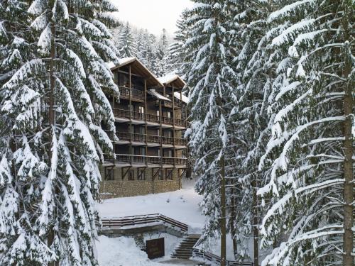Poiana Brasov Hotel | Ana Hotels Bradul Poiana Brasov