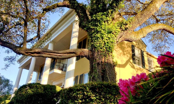 Vicksburg Cama Y Desayuno | Anchuca Historic Mansion & Inn