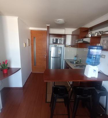 Downtown Santiago Apartamento | Andina Suite 6