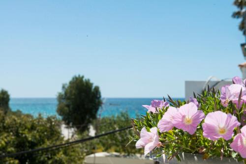 Mastichari Apartamento | Andreas Studios