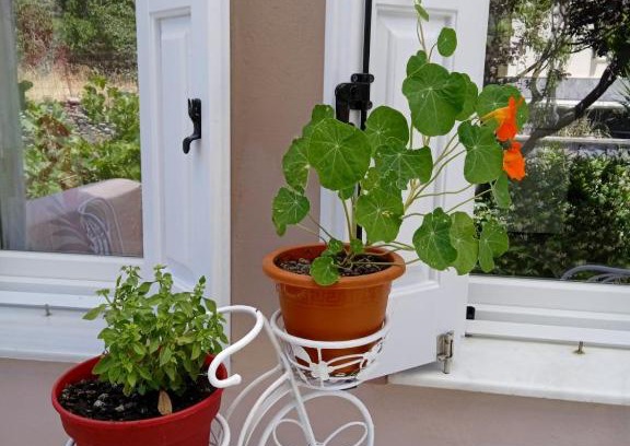 Andros Town Apartamento | Andros Lighthouse Apartments
