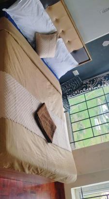 Ooty Hotel | Angel cottage ooty