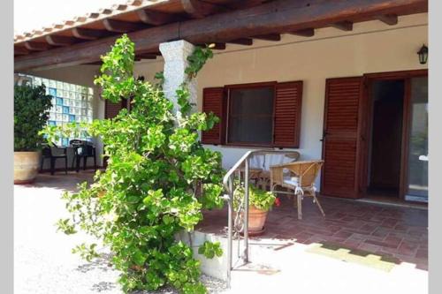 Tancau Sul Mare Casa | Angolo relax a due passi dal mare