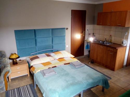 Kamienna Gora Apartamento | ANIA