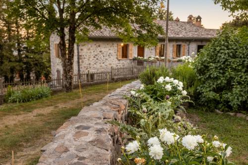 Radicofani Casa | Animrus
