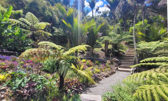 Whitianga Cama Y Desayuno | Annabells Bed and Breakfast