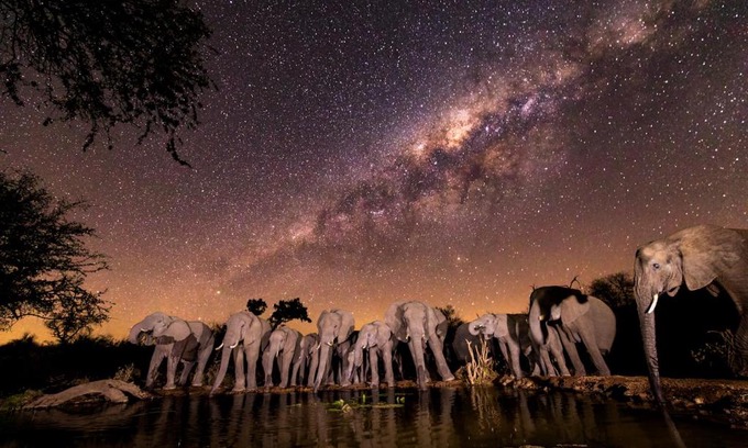 Phalaborwa Casa | Antares Bush Camp & Umgede Hide