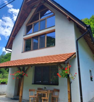 Stara Planina Apartamento | Antić apartmani Stara planina