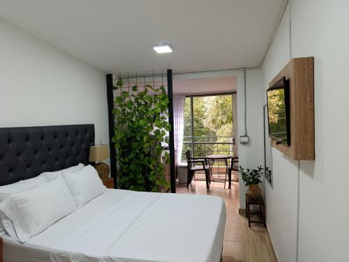 La Florida Apartamento | Apartahotel Provenza 2