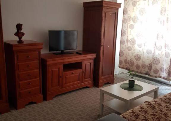 Emanoil Gojdu Apartamento | Apartament încântător,situat în centrul oraşului