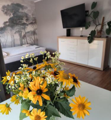 Mikolajki Apartamento | Apartament 25 Mikołajki