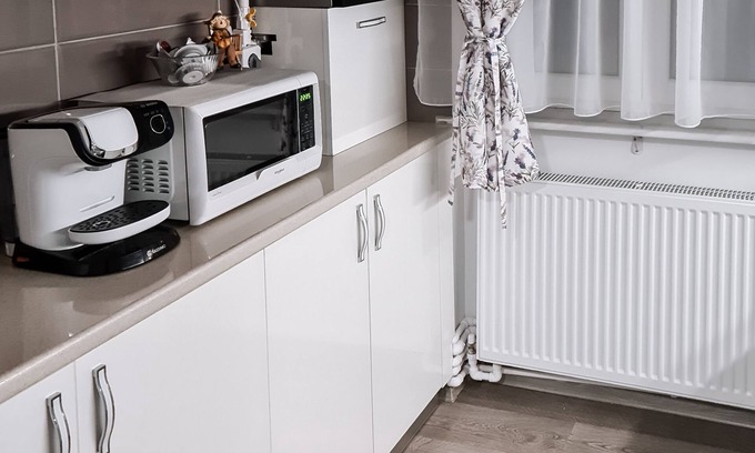 Emanoil Gojdu Apartamento | Apartament Alina
