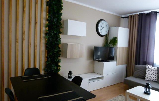 Krynica-Zdroj Apartamento | Apartament BB Czarny potok