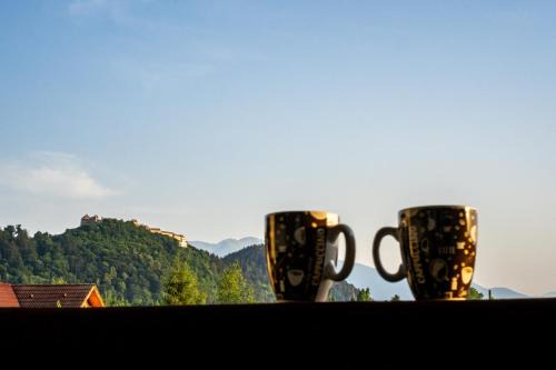 Rasnov Apartamento | APARTAMENT CETATE VIEW