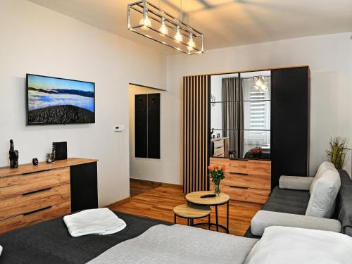 Sanok Apartamento | Apartament City Sanok