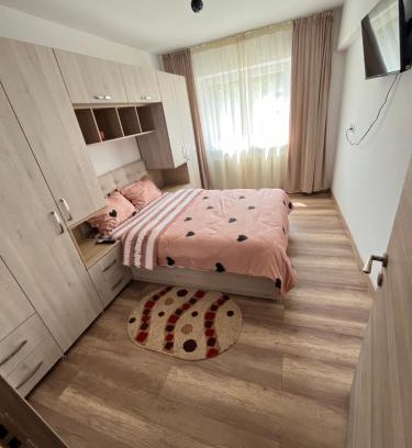 Dorohoi Apartamento | Apartament cu o cameră