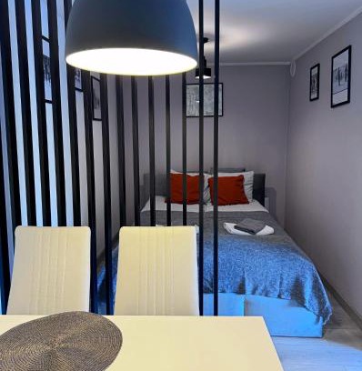 Boguszow-Gorce Apartamento | Apartament Dzikowiec
