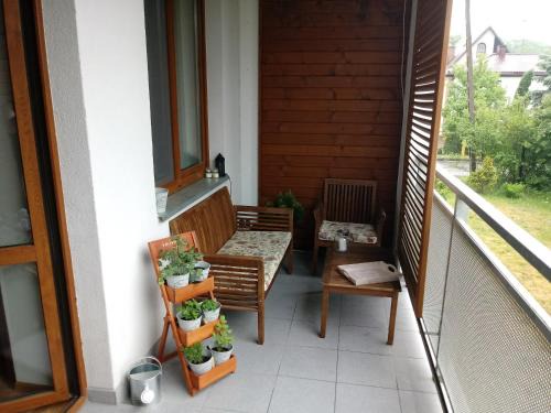 Zwierzyniec Apartamento | apartament Fanaberia