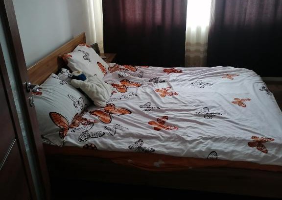 Hateg Apartamento | Apartament Hațeg
