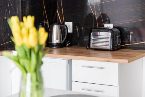 Gdansk Apartamento | Apartament Hania