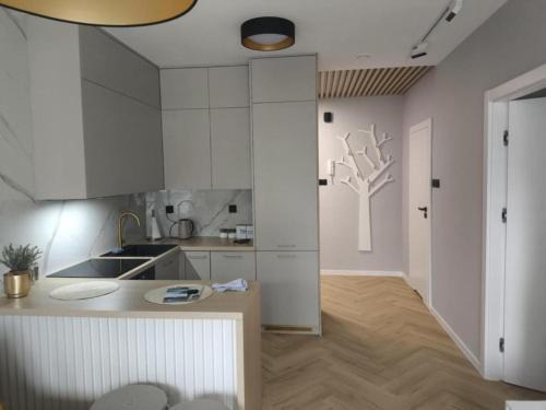 Przemysl Apartamento | Apartament Haven
