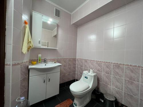 Riscani Apartamento | Apartament Iazului 5