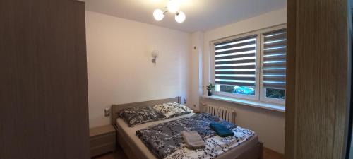 Siemianowice Slaskie Apartamento | Apartament JUKI, obok Katowice Wynajem na doby, krótkoterminowy, 2 pokoje balkon, 50m2,- po kapitalnym remoncie 2-ga sypialnia jest częścią salonu blisko Centrum Leczenia Oparzeń 2,5 km