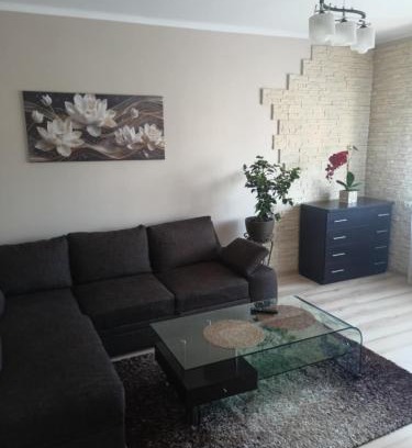 Zamosc Apartamento | apartament Kalia