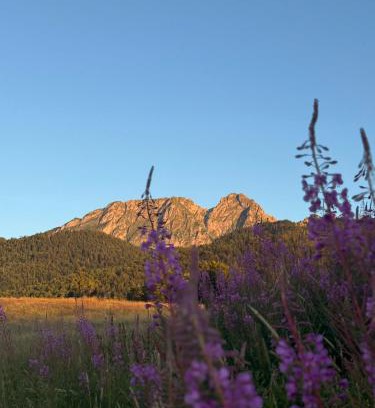 Zakopane Apartamento | Apartament Karmelovy- Viva pod Giewontem Apartamenty