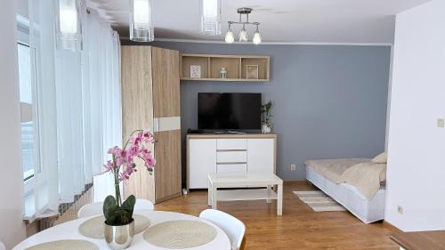 Zielona Gora Apartamento | Apartament Krasickiego