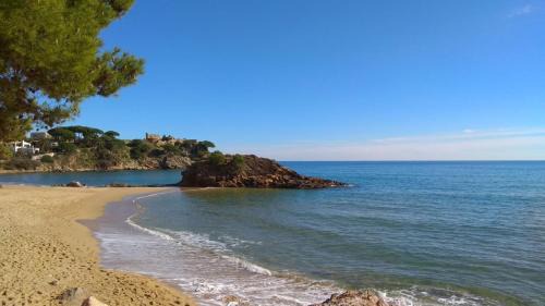 Palamos Apartamento | Apartament La Fosca Palamós